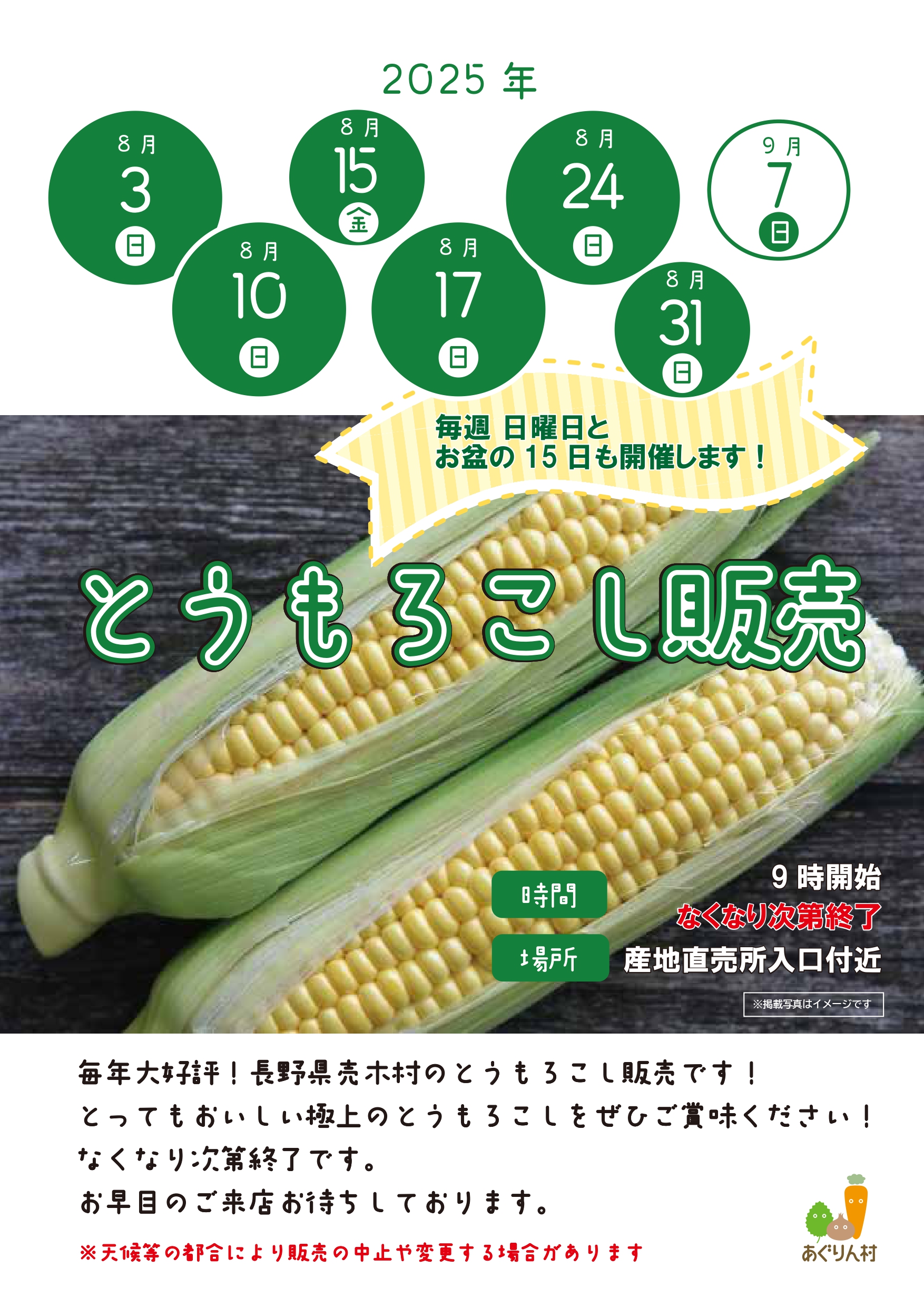 売木村トウモロコシ販売！